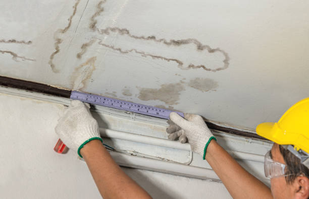 Reliable Flood Cleanup contractor in Caledonia, IL by Water Damage Irwin